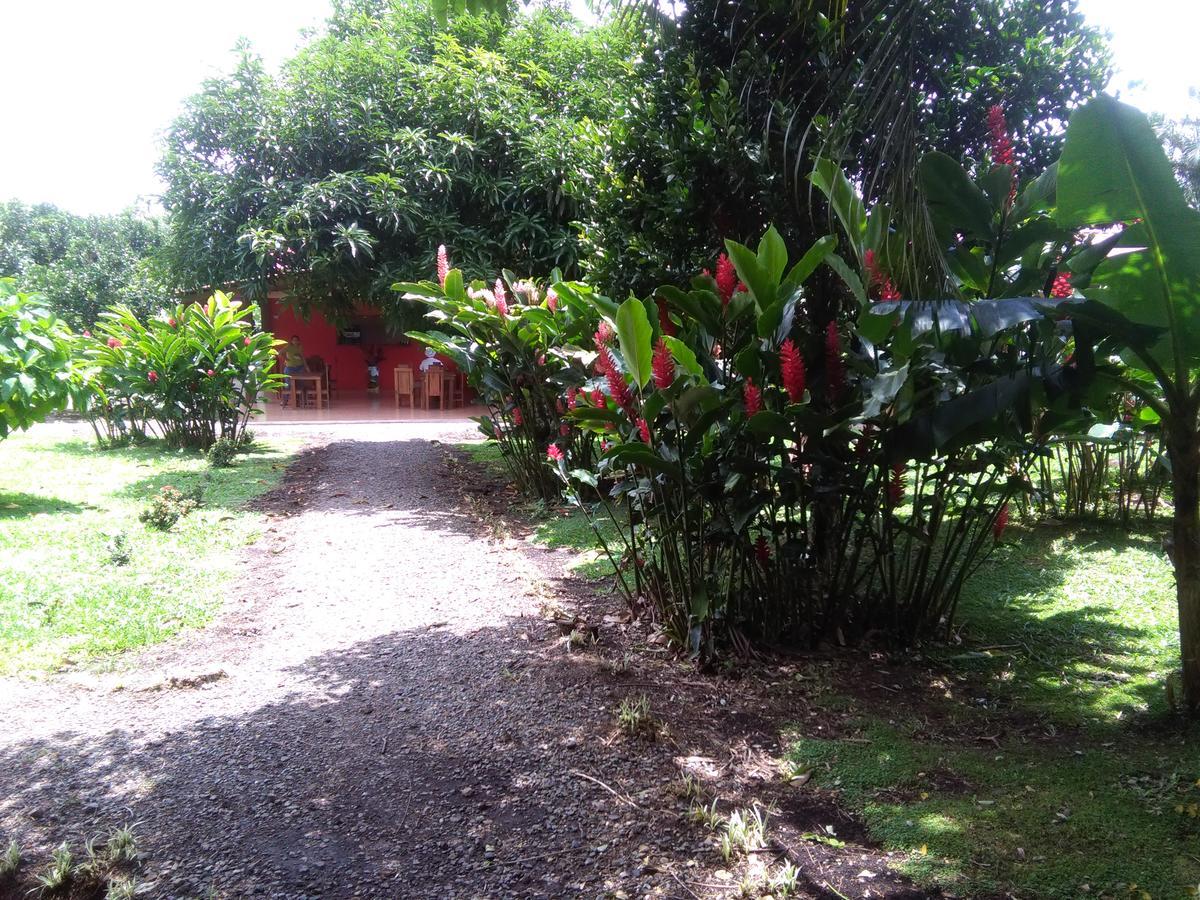 Paraiso Volcano Lodge Guayabo  Zewnętrze zdjęcie