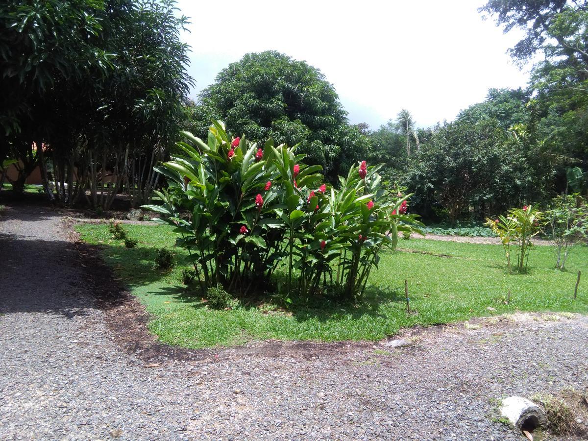 Paraiso Volcano Lodge Guayabo  Zewnętrze zdjęcie