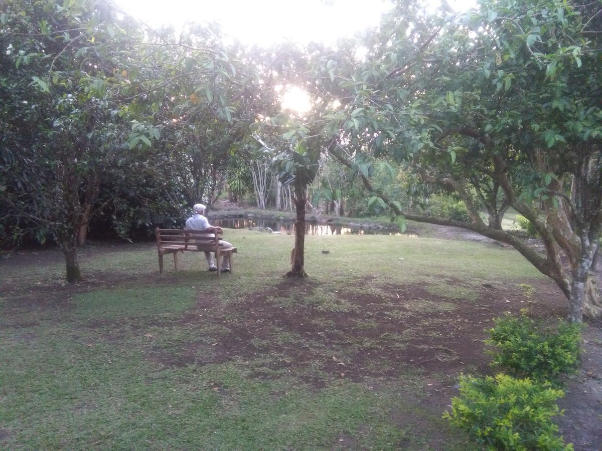 Paraiso Volcano Lodge Guayabo  Zewnętrze zdjęcie