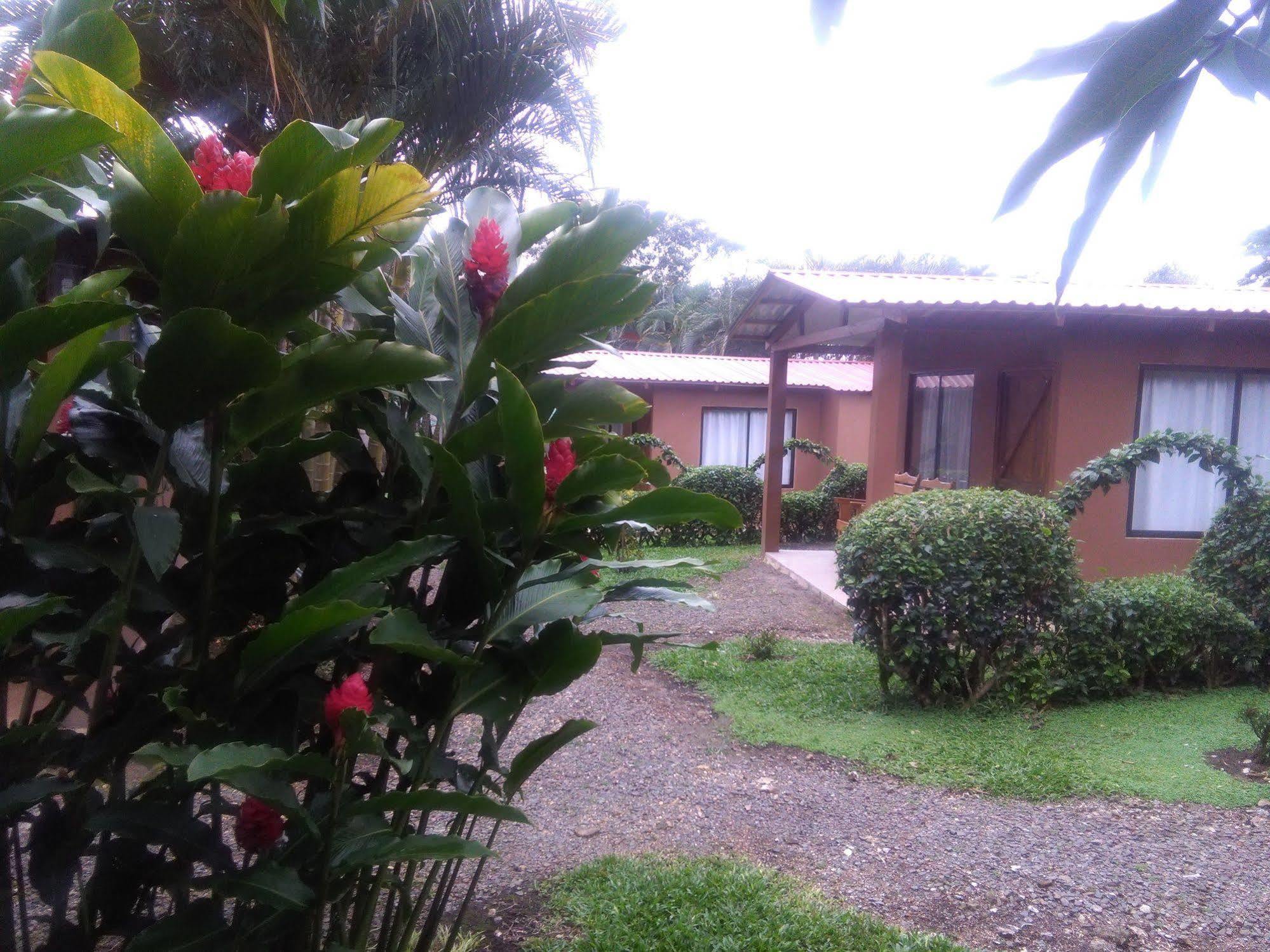 Paraiso Volcano Lodge Guayabo  Zewnętrze zdjęcie