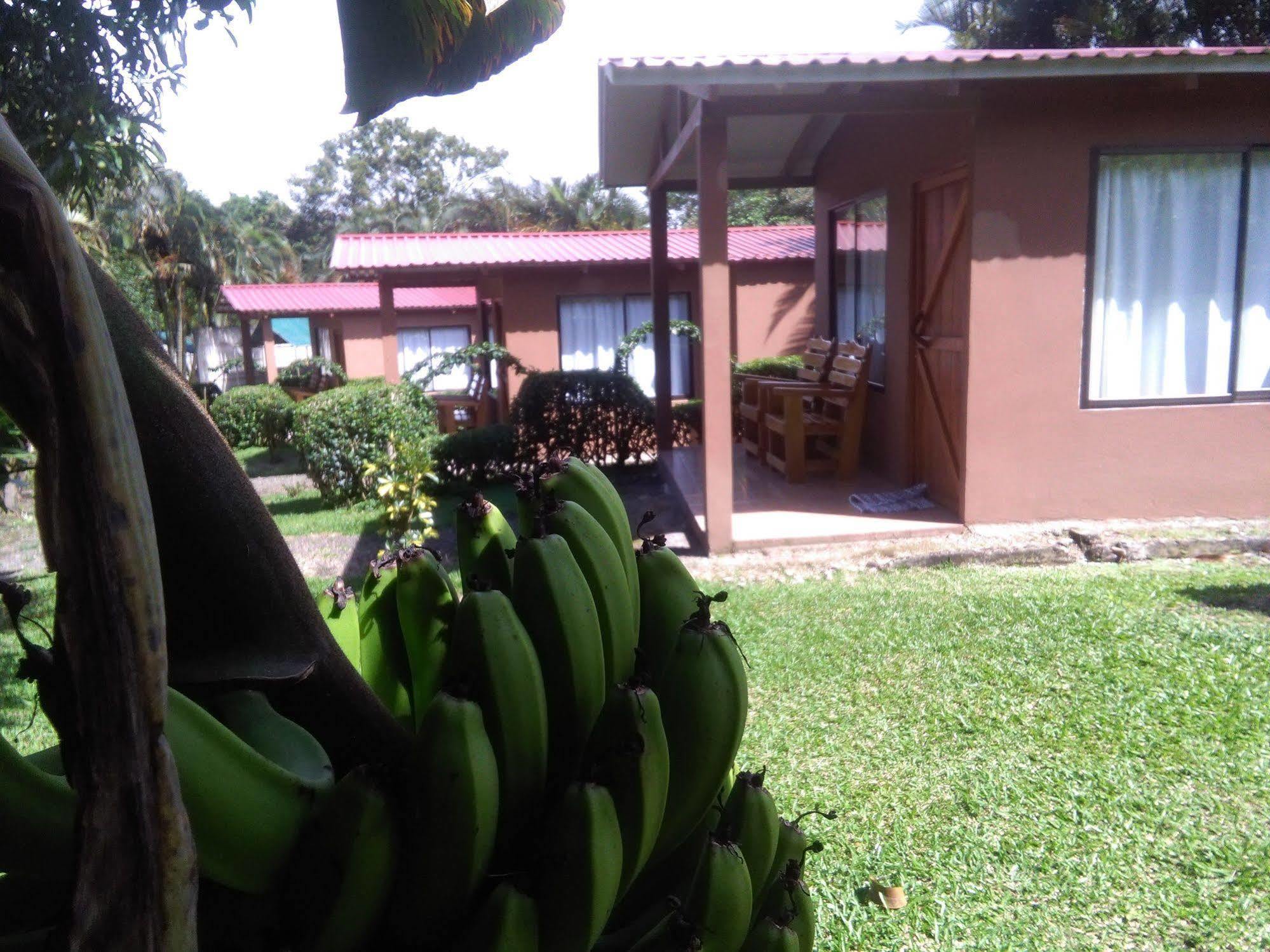 Paraiso Volcano Lodge Guayabo  Zewnętrze zdjęcie